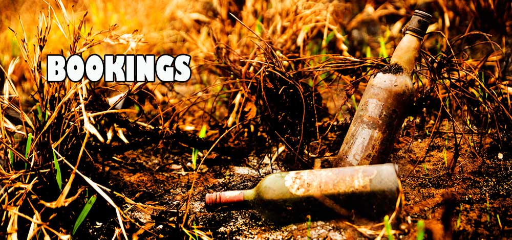 photographer bookings port elizabeth photographer bookings  port elizabeth