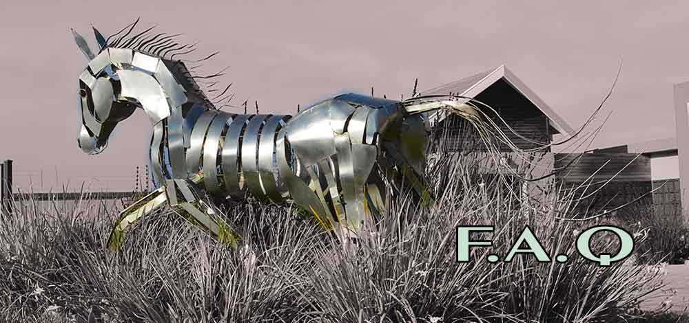 services photographer port elizabeth services photographer port elizabeth