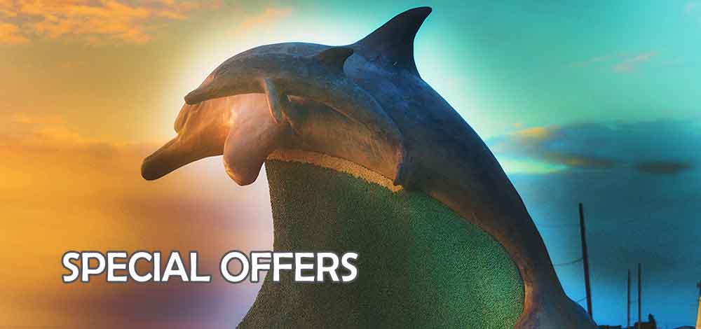 special offers photographer port elizabeth