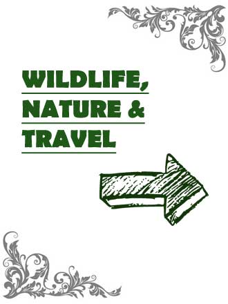 Portrait photographer port elizabeth