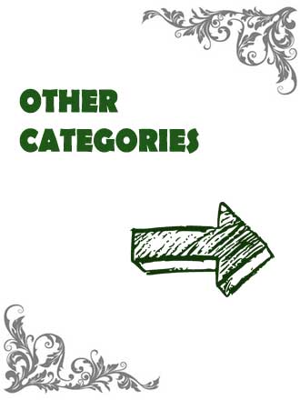 Pet photographer port elizabeth