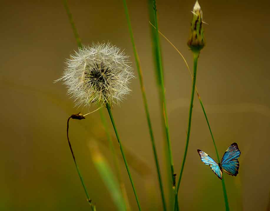 nature-photoprapher-port-elizabeth nature-photoprapher-port-elizabeth