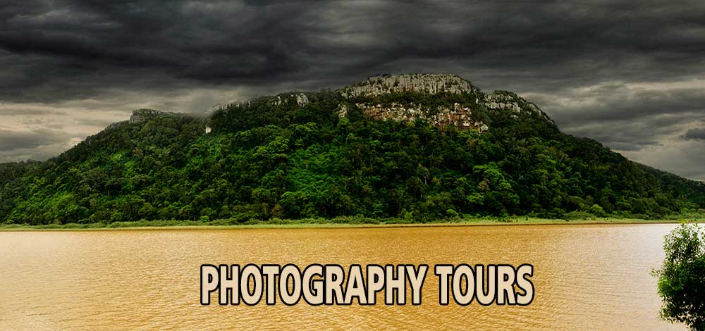 nature and wildlife photographer port elizabeth