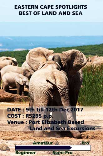 photography workshops training port elizabeth