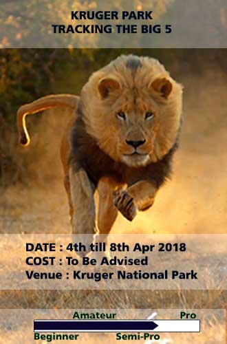 photography kruger wildlife port elizabeth