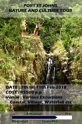 photography tours wildlife training port elizabeth