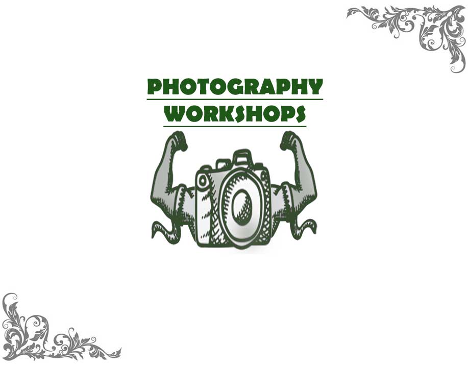 port elizabeth-photography-workshops