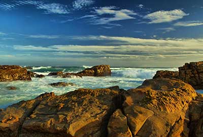 Photography Tours Wildlife South Africa