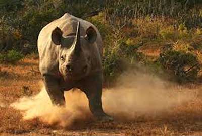 Photography Tours Wildlife South Africa