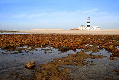 Photography Tours Wildlife South Africa