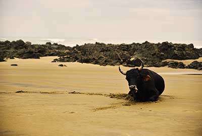 Photography Tours Port Elizabeth